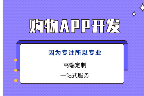專業購物APP開發哪家好