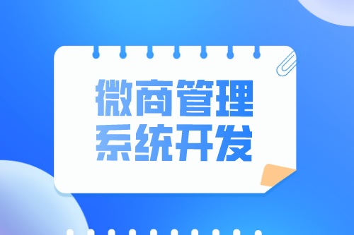 微商管理系統開發有什么優勢(圖1) 微商管理系統開發有什么優勢(圖1)