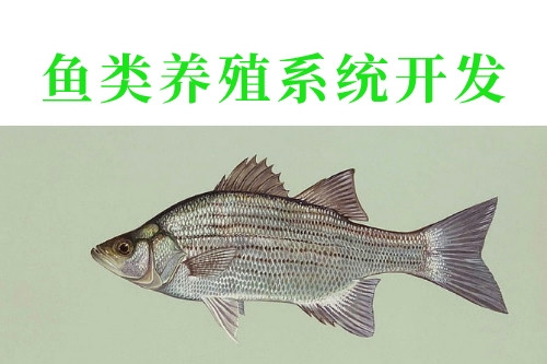 魚類養殖系統開發的優勢功能(圖2) 魚類養殖系統開發的優勢功能(圖2)