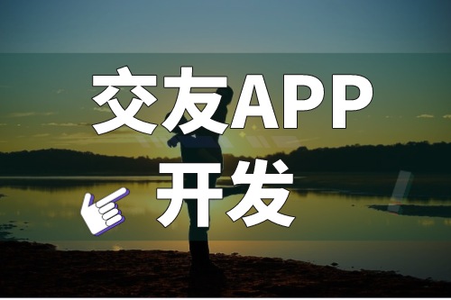 淺談交友APP開發的功能優勢(圖1)