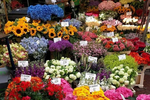 花卉采購APP開發(fā)的功能及其優(yōu)勢(圖2)