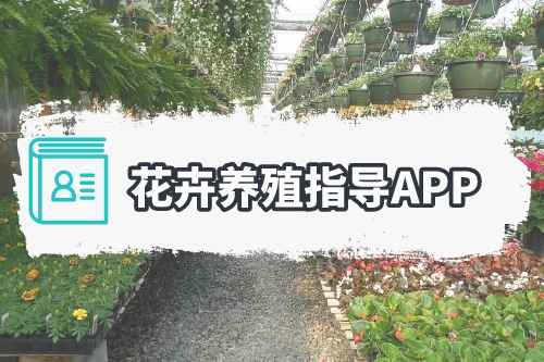 花卉養殖指導APP涵蓋哪些功能(圖1)