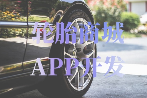 德州輪胎商城APP開發(fā)功能介紹