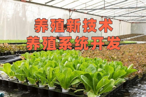 養(yǎng)殖新技術(shù)-養(yǎng)殖系統(tǒng)開(kāi)發(fā)(圖2) 養(yǎng)殖新技術(shù)-養(yǎng)殖系統(tǒng)開(kāi)發(fā)(圖2)