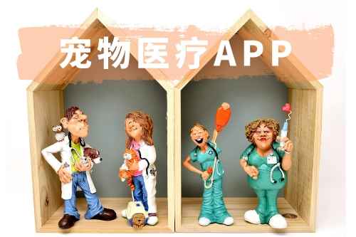 寵物醫療APP開發有哪些功能(圖1)