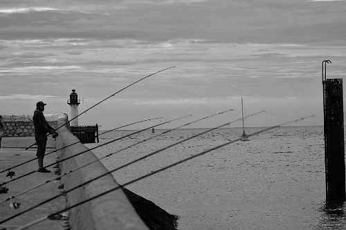 釣魚app開發(fā)有哪些功能(圖1) 釣魚app開發(fā)有哪些功能(圖1)