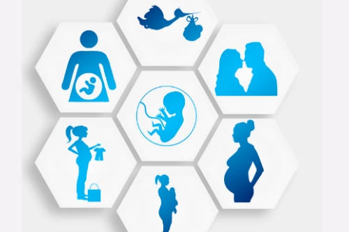 孕期指導app開發(fā)的功能包括什么(圖1) 孕期指導app開發(fā)的功能包括什么(圖1)