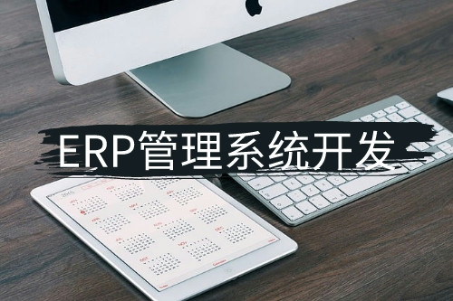 德州erp管理系統開發(圖2) 德州erp管理系統開發(圖2)
