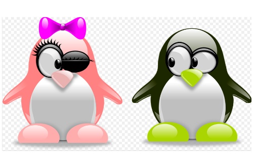 市場對婚戀小程序開發的需求