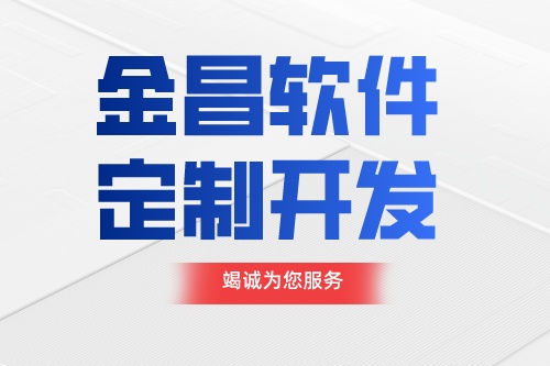 金昌軟件定制開發前需要準備什么(圖1)