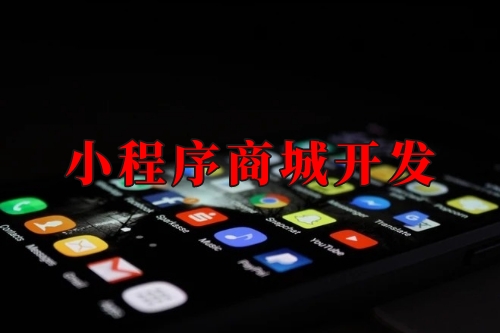 湖北小程序商城開發實現線上線下一體化運營(圖1) 湖北小程序商城開發實現線上線下一體化運營(圖1)