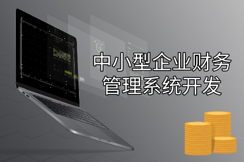 中小型企業財務管理系統開發設計思路(圖1)